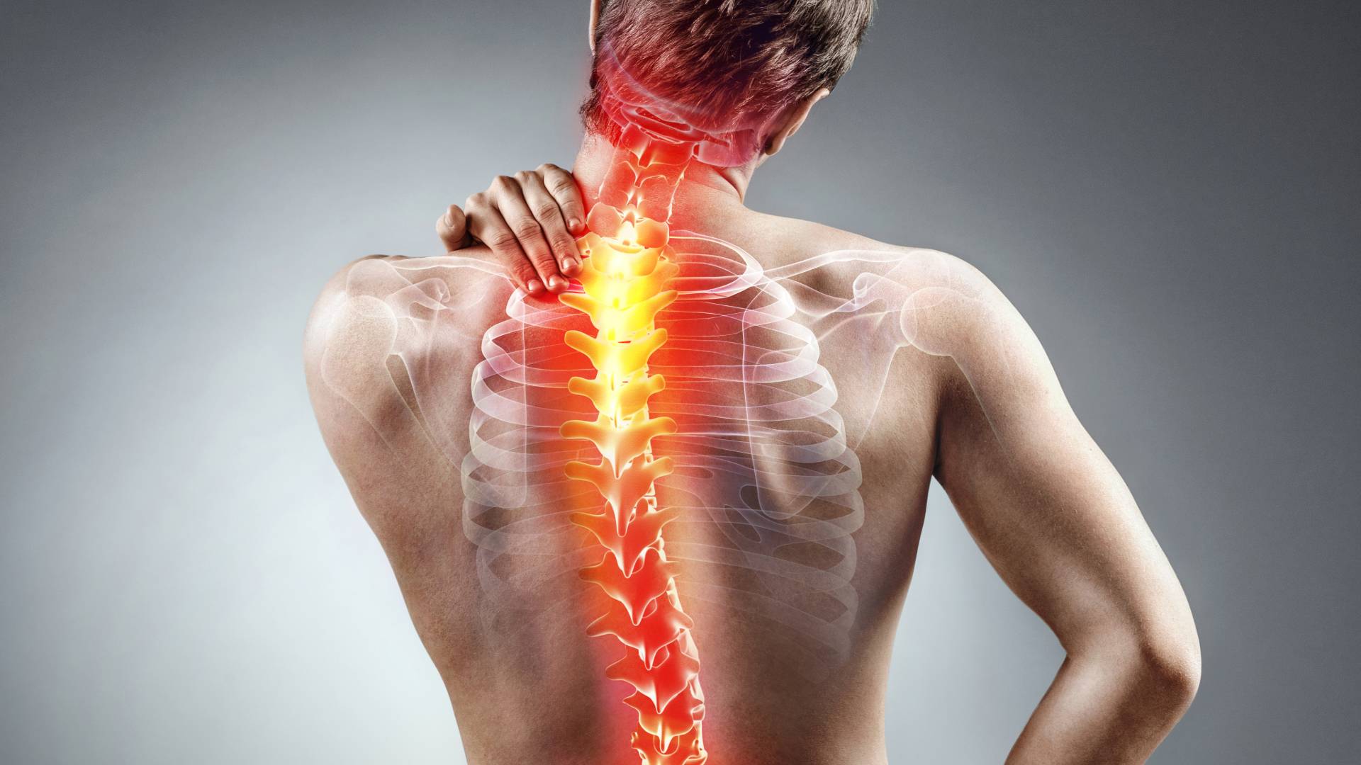 Physiotherapy and Chiropractic Care for Back and Neck Pain